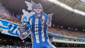 Mosaico Paysandu - Torcedor move ação!
