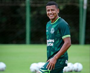 Maquinho pode pintar no Paysandu