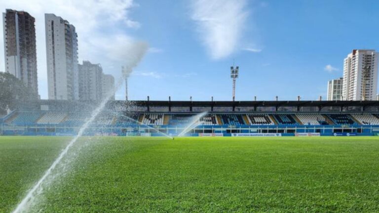 Curuzu vai viltar em julho!