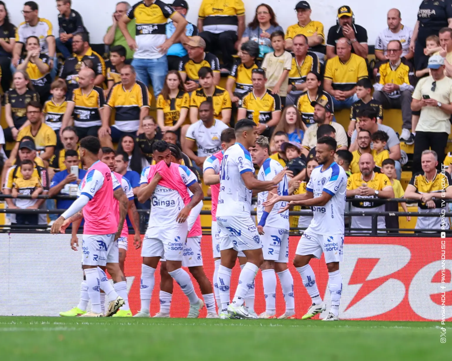 Ainda dá? Paysandu precisa conquistar pontuação ‘significativa’ para permanecer na série B